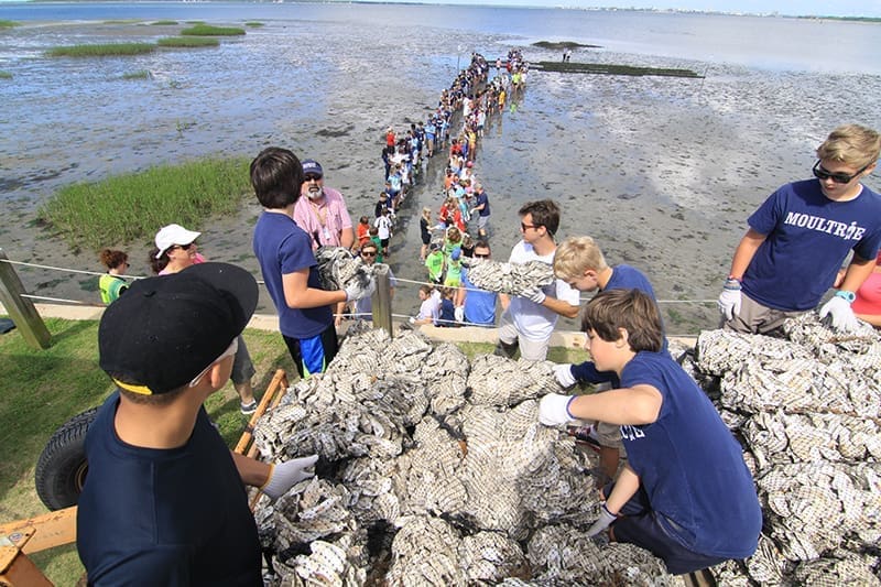 SCDNR Oyster artfical oyster reef