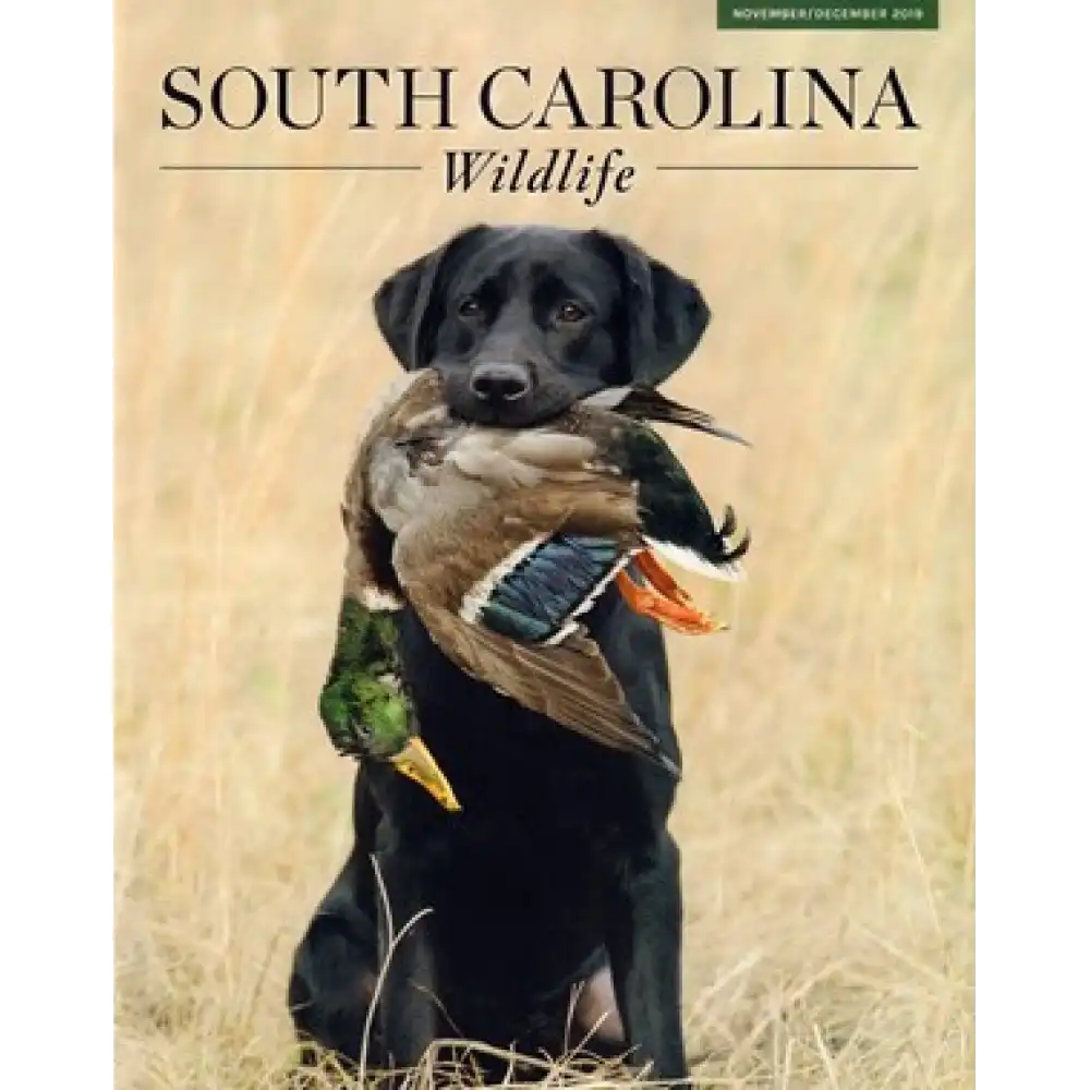 South-Carolina-Wildlife-Magazine-Cover-1000x1000 copy