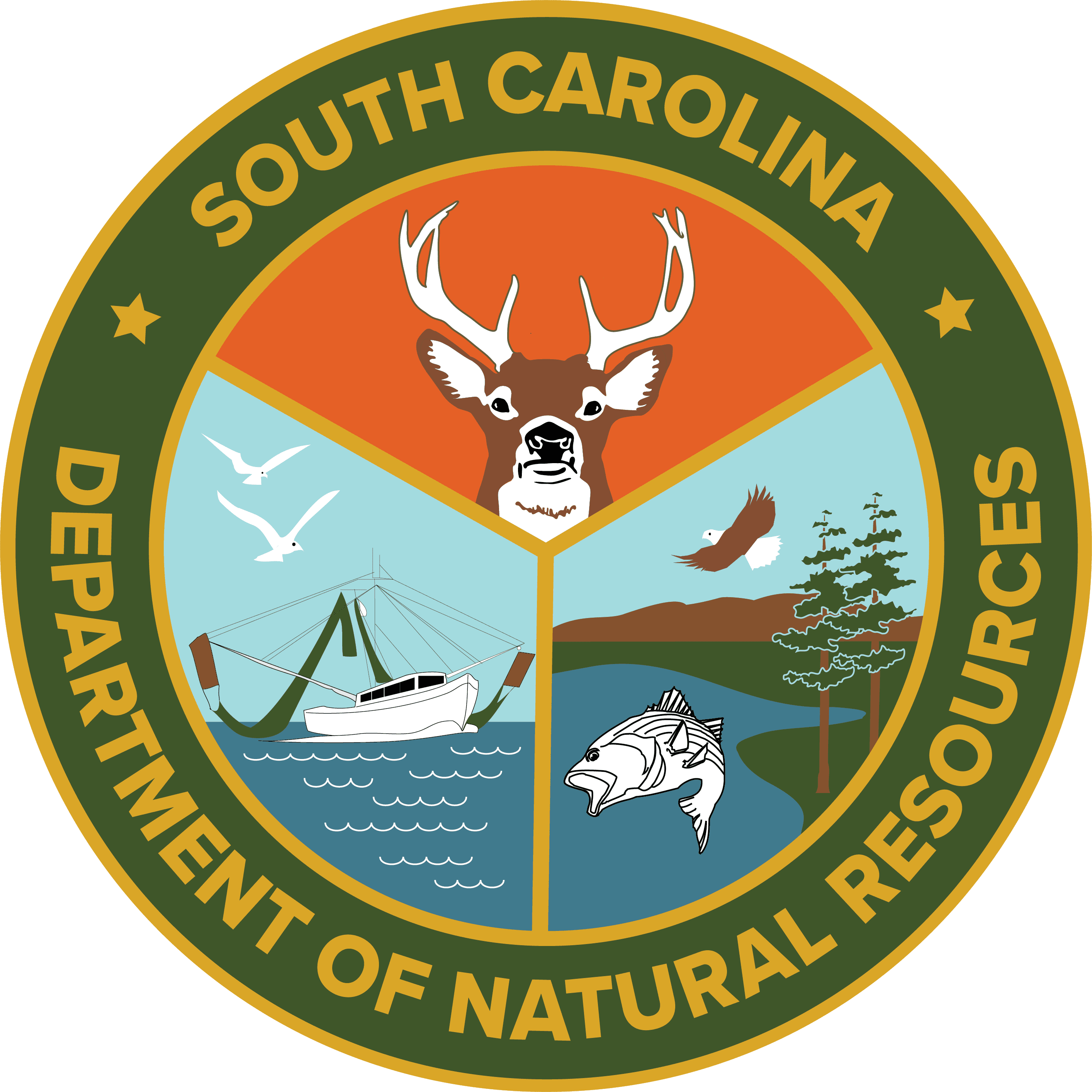 DNR_Color_HighResolution